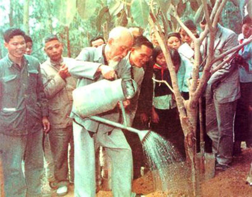 Bài tuyên truyền Tết trồng cây.